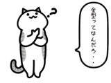 疑問猫